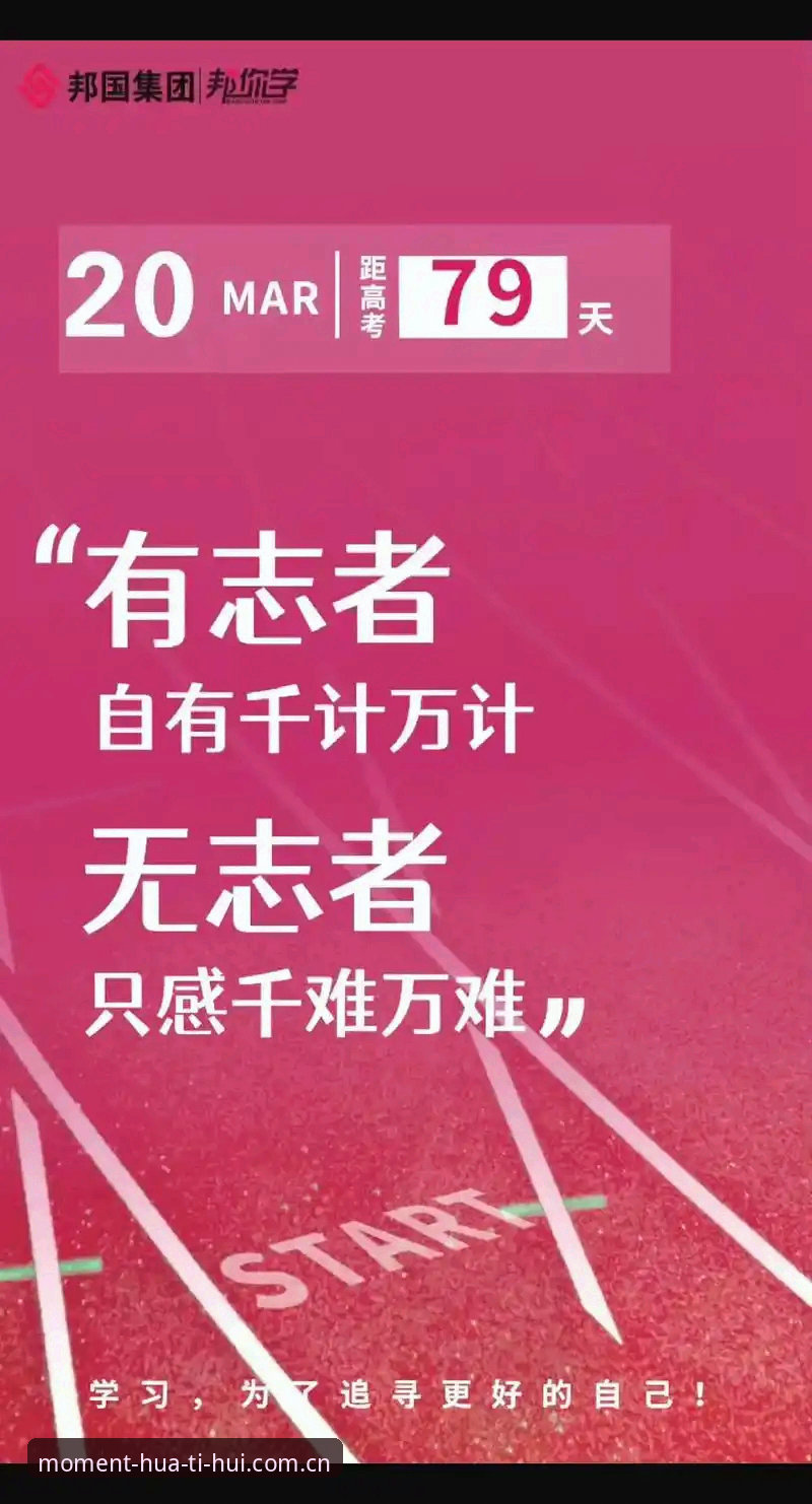 别再被"此刻即主场"骗了：这份华体会2025安卓版登录与赛事数据的实战指南